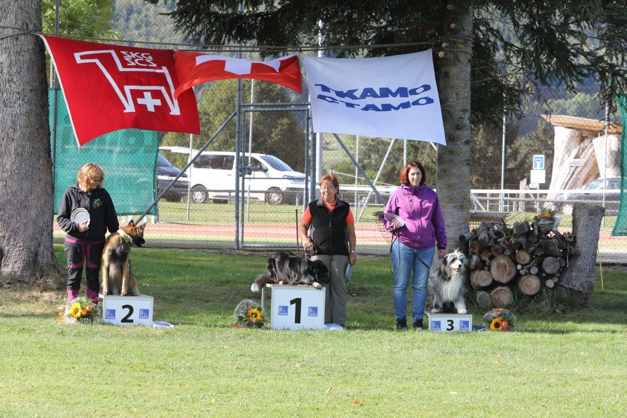 Obedience Schweizermeisterschaft - Klasse 2